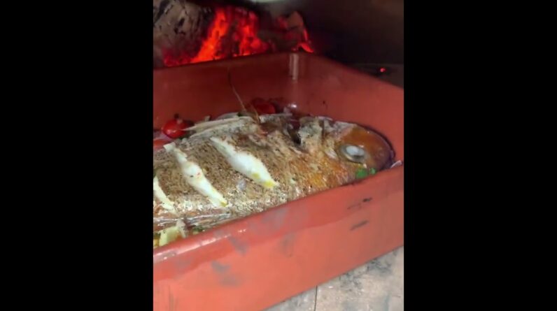 Cooking Snapper in the Maximus Wood Fired Oven  📷grill.sisters